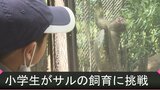 小学生がサルの飼育体験 動物サマースクールで生態を学ぶ | 熊本のニュース|RKK NEWS|RKK熊本放送