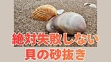 【潮干狩り】絶対失敗しない「貝の砂抜き」死んだ貝の見分け方は?アサリは3時間 ハマグリは6時間以上「海水を持ち帰る」のがコツ【大潮】 | 岡山・香川のニュース | 天気 | RSK山陽放送