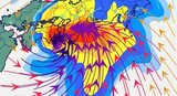 【台風情報】気象庁が関東甲信・東海・近畿・四国に「線状降水帯半日前予測」発表　大雨災害発生の危険度が急激に高まる可能性　台風6号(チャンミー)今後の進路・1時間ごとの雨風シミュレーション|TBS NEWS DIG