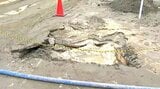 1坪5250円の負担金や土地所有者の合意についての説明に住民からは不安の声も【能登半島地震】新潟市 液状化現象対策工事の説明会|TBS NEWS DIG