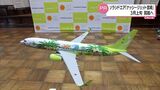 ポケモン×ソラシドエア 特別塗装機「ナッシージェット宮崎」3月上旬から就航 | MRTニュース | MRT宮崎放送