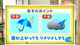 高知の天気 11日 午前中を中心に雨強まる 山岸拓気象予報士が解説 | 高知のニュース・天気|KUTV NEWS | KUTVテレビ高知