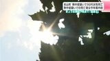 熱中症疑いで90代女性死亡 熱中症疑いでの死亡者は今年県内初 3日は高知県内7地点で「猛暑日」|TBS NEWS DIG