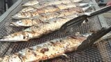 新鮮なサンマと新米おにぎりみそ汁定食で被災地を支援 「新米さんま祭」開催 山梨・韮崎大村財団 | 山梨のニュース | UTYテレビ山梨