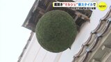蔵開き “マルシェ” 　新スタイルに手ごたえ　東広島市の酒蔵　|　RCC NEWS | 広島ニュース | RCC中国放送