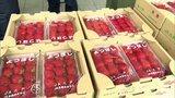 「八戸いちご」をもっと知って!サッカーの会場でイチゴの販売会 ヴァンラーレ八戸サポーターも大満足 青森県八戸市 | 青森のニュース│ATV NEWS│青森テレビ