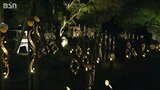 昼も夜も竹づくし!放置竹林を地域の宝に変える 光と宵のまつり『たがみバンブーブー』新潟県田上町 | 新潟のニュース・天気|BSN NEWS|BSN新潟放送