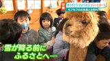 「アルパカにさようなら」卒業の日を迎えたリリーとヨーコ 一緒に過ごした日々を忘れない…|TBS NEWS DIG
