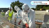 鳥インフルエンザの発生に備え訓練　消毒や処分の手順確認|TBS NEWS DIG
