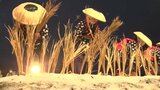 五穀豊穣祈り雪の田んぼに稲わら植える 「全日本農はだてのつどい」 岩手・奥州市|TBS NEWS DIG