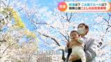 名古屋の桜は満開間近 名所の鶴舞公園には24日大勢の花見客…「食べ歩き」や「お酒の販売」解禁 ごみは持ち帰って | 名古屋・愛知・岐阜・三重のニュース【CBC news】 | CBC web