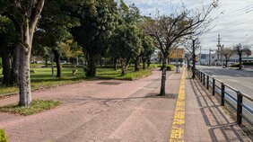 JR宮崎駅前に駐車中の車の中で男性が血まみれで発見 男性の首付近を刃物のようなもので傷つけた60代の男を逮捕 男性は死亡し殺人事件として捜査|TBS NEWS DIG