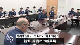 新潟・胎内市の養鶏場で鳥インフルエンザ発生の疑い 簡易検査で陽性|TBS NEWS DIG