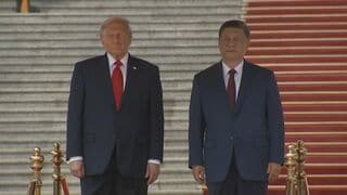 中国が毎年2兆7000億円規模の米国産農産物を新たに購入　2028年まで　米政府発表　米メディアは「履行されるか疑問」と指摘| TBS CROSS DIG with Bloomberg