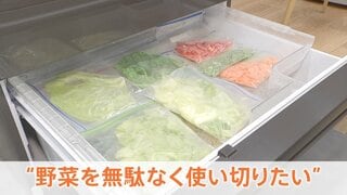 「いかに無駄なく使い切るか」冷蔵庫の「保存技術」が進化　生成AIがサポート　野菜高騰の中　家計防衛のカギに…| TBS CROSS DIG with Bloomberg