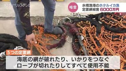 漁網の価格破壊】1582008 （地震で破れた定置網…春のホタルイカ漁 