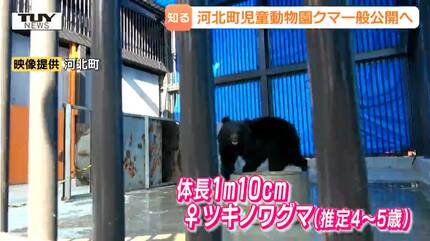 動物園にクマ!? 目的は「生態を知ってもらうこと」 児童動物園で始まる