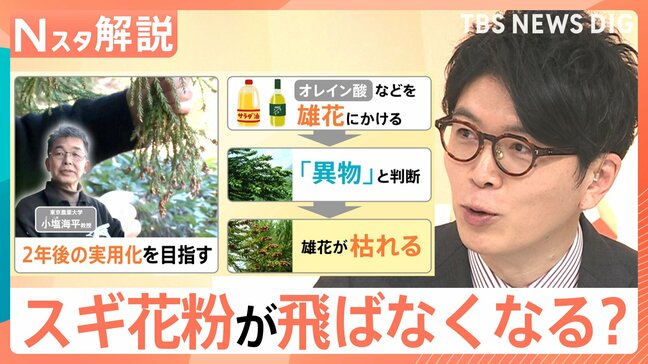 「雄花だけを枯らす」最新研究 スギ花粉が飛ばなくなる未来も…?くしゃみ・鼻水/鼻づまり…症状によって薬を使い分けを【Nスタ解説】|TBS NEWS DIG
