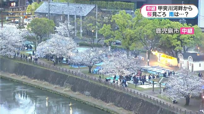 桜中継 甲突川河畔・鹿児島市 花見でにぎわう?|TBS NEWS DIG