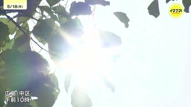 5月なのに…「猛暑日」まで一歩手前 連日続く厳しい暑さ ソフトクリームもあっという間に…|TBS NEWS DIG
