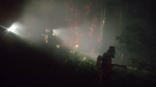 牛のエサ用わらを保管する倉庫全焼　竹やぶにも燃え移る|TBS NEWS DIG