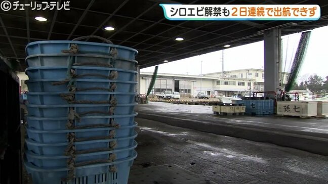 富山湾の宝石「シロエビ漁」解禁も2日連続の休漁　新湊漁港は悪天候でしけ、回復傾向の今シーズンに期待高まる　富山・射水市|TBS NEWS DIG