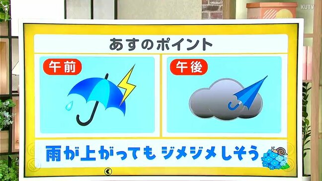 高知の天気　１１日　午前中を中心に雨強まる　山岸拓気象予報士が解説|TBS NEWS DIG