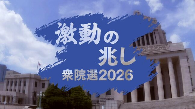 「政党政治、甘くない」離党者に刺客でオール沖縄分裂も単純に “漁夫の利” とはいかず…衆議院選挙沖縄2区、変わる構図|TBS NEWS DIG