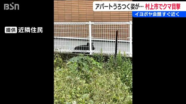 三条では会社の玄関ドア破壊 各地でクマ目撃情報相次ぐ「怖くて外を出歩けない」新潟県内|TBS NEWS DIG