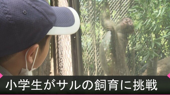 小学生がサルの飼育体験　動物サマースクールで生態を学ぶ　|　熊本のニュース｜RKK NEWS｜RKK熊本放送