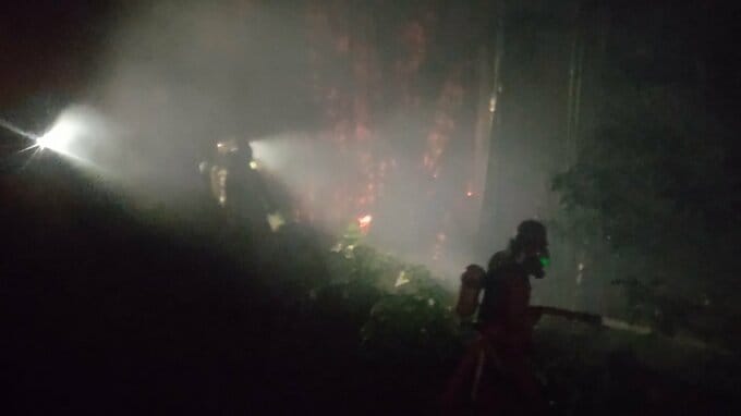 牛のエサ用わらを保管する倉庫全焼　竹やぶにも燃え移る　|　大分のニュース｜OBS NEWS｜大分放送