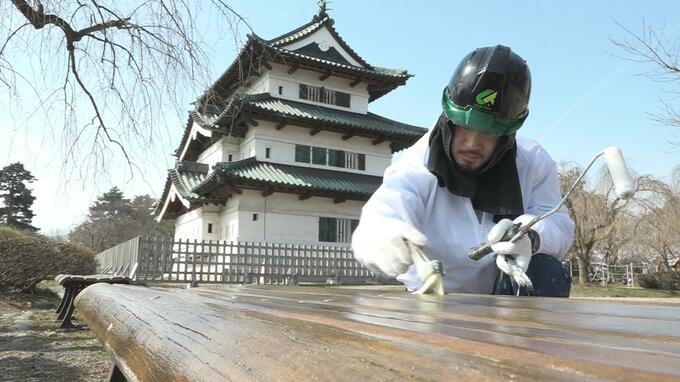 「弘前さくらまつり」開幕に合わせ　職人たちが230基のベンチを塗り直す　来場者を出迎える準備着々と　|　青森のニュース│ATV NEWS│青森テレビ