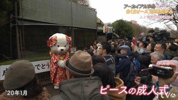 “成人式”の様子