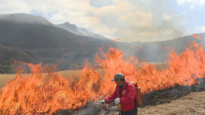 坊ガツル湿原で野焼き　春の訪れ告げる　大分・竹田市　|　大分のニュース｜OBS NEWS｜大分放送