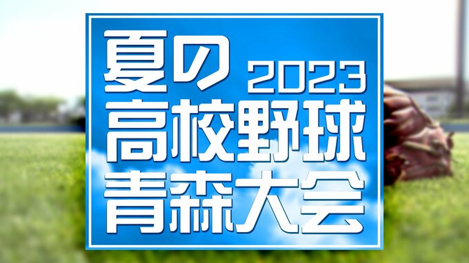 ベスト１６出そろう　高校野球夏の青森県大会　初の継続試合も　|TBS NEWS DIG