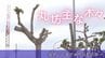 「奥まで木々が丸坊主」街路樹のやりすぎ剪定は何のため？『強剪定』の裏にあるのは　|　沖縄のニュース｜RBC 琉球放送