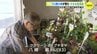 焼け野原になった広島で開いた小さな生花店　姉の思いを受け継いで営む93歳の男性　広島･寺町　|　RCC NEWS | 広島ニュース | RCC中国放送