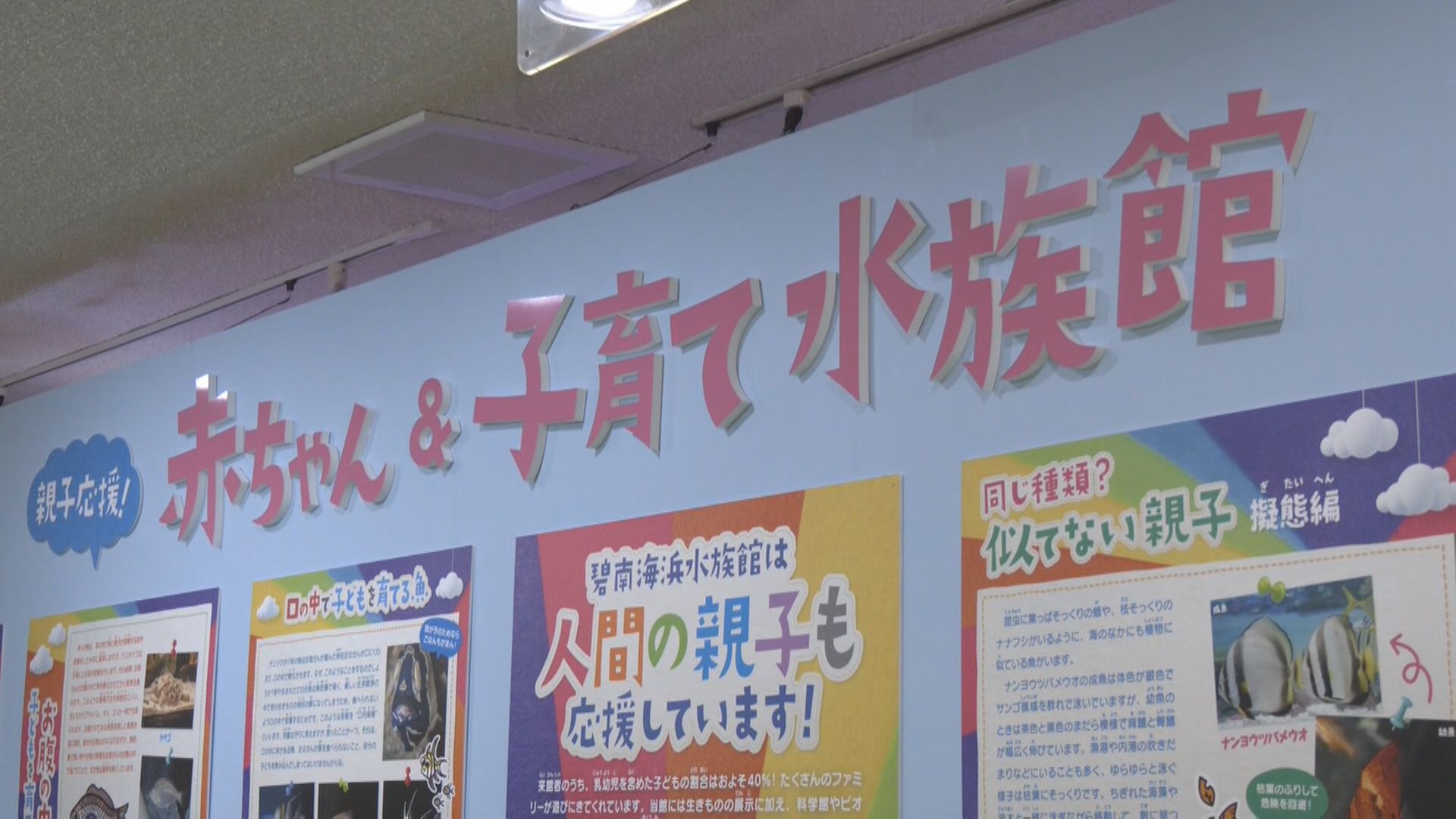 親子が似ていない方が安全な魚や…口の中で卵を孵化させる魚も　水族館で10種類28匹の魚を展示　赤ちゃんや子育てがテーマ