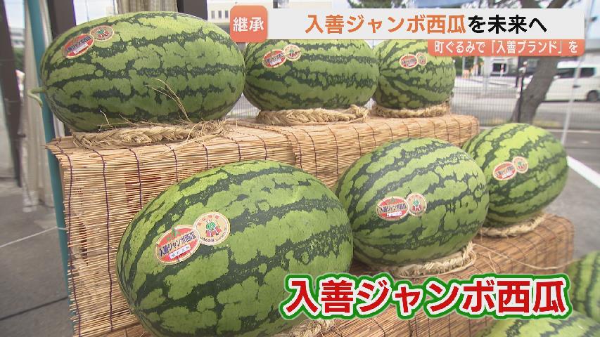 入善ジャンボ西瓜】「玉数を増やしてもらえることが希望」 生産129年