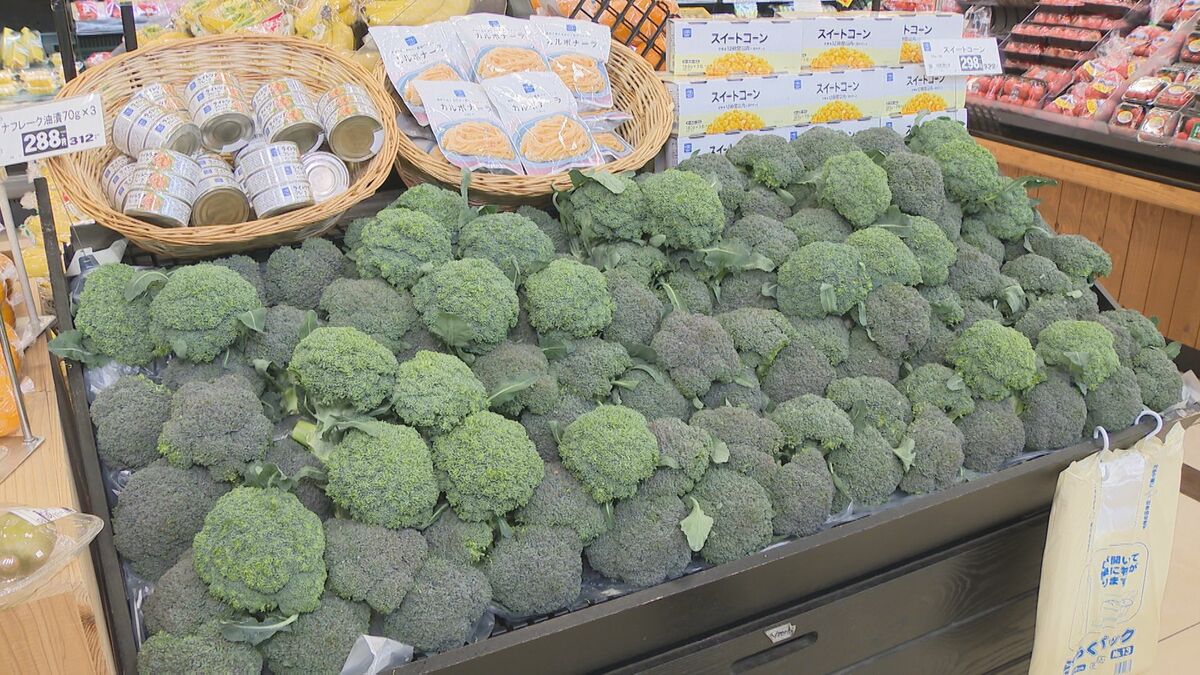 ブロッコリーが「指定野菜」に　52年ぶり、食卓の強い味方へ　プロ直伝の“タイパ”レシピ紹介