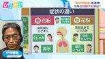 今年は多い?風邪に似た『秋の花粉症』 対策のカギは“飛散距離” 春との症状の違いを医師に聞く【ひるおび】|TBS NEWS DIG
