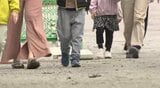 「気は休まらない」クマ警戒続く中…保育園が再開 散歩は行わず 長野・木島平村|TBS NEWS DIG