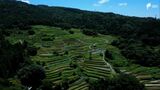 美しい棚田を後世に 保存会とボランティアが田植えを楽しむ「つなぐ棚田遺産」認定の「久留女木の棚田」|TBS NEWS DIG