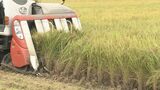 23年産米 岩手県内の収穫量は24万9100トン 作付面積900ha減少も作況指数104「やや良」で増加|TBS NEWS DIG