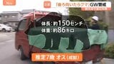 GWにも出没「後ろを向いたらクマが…」4月ツキノワグマによる死者は約20年で初の“異例”の事態…観光地でも“音バリア”・ドローンで対策|TBS NEWS DIG