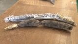 徳川家康が愛した「あさはた蓮根」が今シーズン初出荷 シャキシャキ食感と強い粘り気が特徴=静岡 | 静岡のニュース | SBSNEWS | 静岡放送