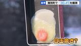 北海道陸別町で-30.4℃観測…フライパンに卵を落とすと3分で凍結“目玉焼き”に 札幌市では滝が「氷瀑」に | 北海道のニュース|HBC北海道放送