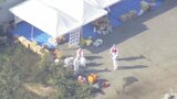 愛媛県で今季2例目の鳥インフルを確認 県対策本部会議で養鶏場のニワトリ11万羽の殺処分を決定 | 愛媛のニュース - Nスタえひめ|あいテレビは6チャンネル