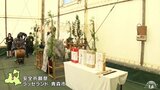 「安全に事故なく作り上げる」青森ねぶた祭に向け制作の無事を祈る安全祈願祭|TBS NEWS DIG