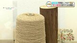 地域の間伐材が原料の『木糸（もくいと）』 “温泉郷の地熱”を熱源に天然染料で染色　地域性が詰まった新しい商品で選択肢を増やしたい　|　熊本のニュース｜RKK NEWS｜RKK熊本放送